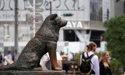 LA FIDELIDAD DE HACHIKO VUELVE A LA PANTALLA GRANDE.