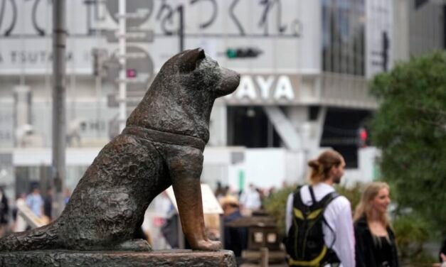 LA FIDELIDAD DE HACHIKO VUELVE A LA PANTALLA GRANDE.