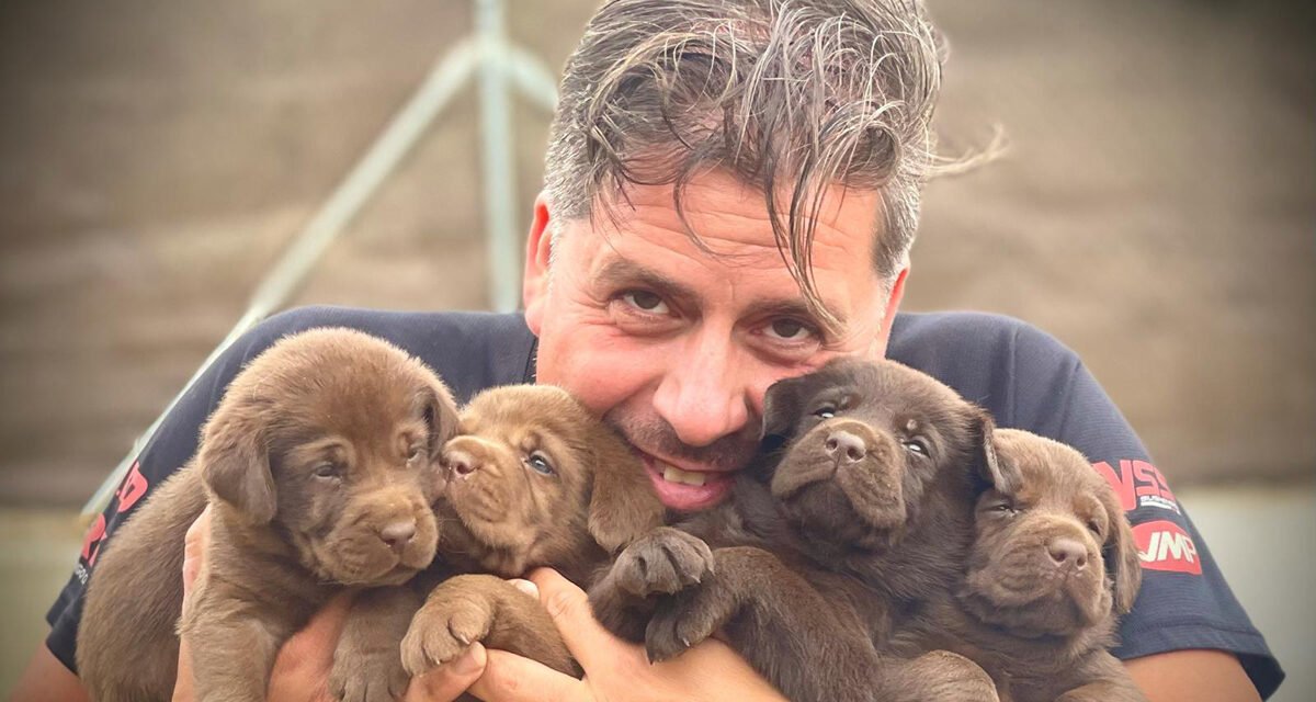 DESCURBREN QUE LOS PERROS ENTIENDEN A LOS HUMANOS DESDE QUE SON CACHORROS