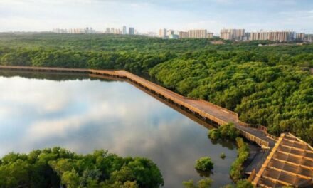 DE BARRANQUILLA PARA EL MUNDO: EL NUEVO ECOPARQUE CIÉNAGA DE MALLORQUÍN.