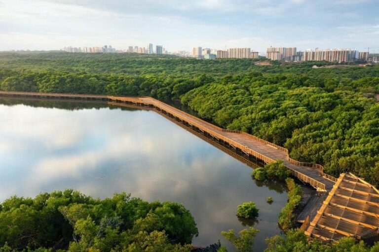 DE BARRANQUILLA PARA EL MUNDO: EL NUEVO ECOPARQUE CIÉNAGA DE MALLORQUÍN.