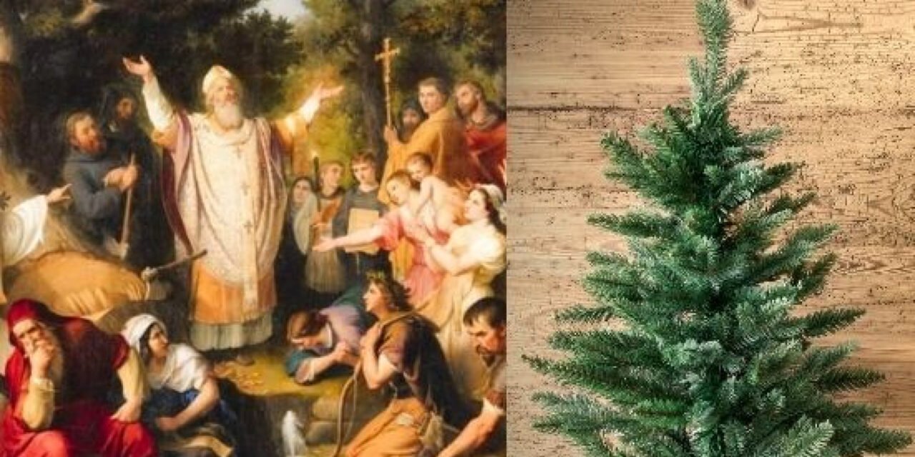 ¿DONDE NACIÓ LA TRADICIÓN DEL ÁRBOL DE NAVIDAD?