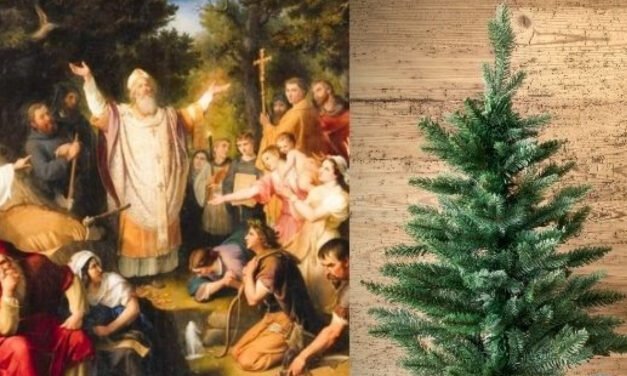 ¿DONDE NACIÓ LA TRADICIÓN DEL ÁRBOL DE NAVIDAD?