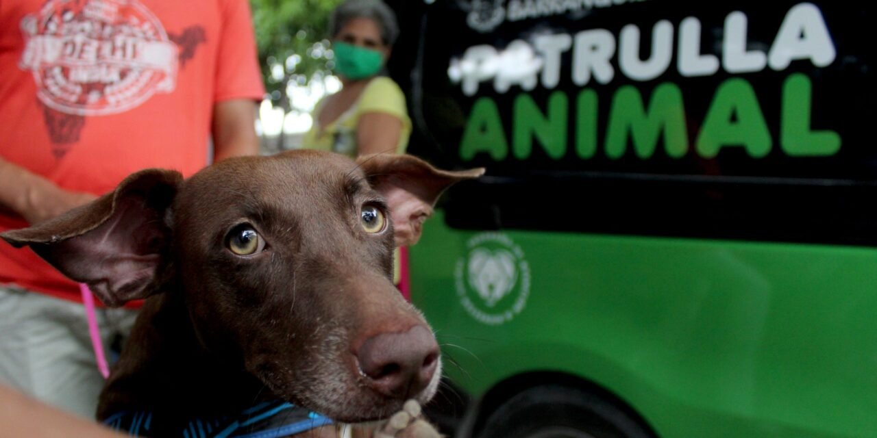 ¡EN BARRANQUILLA LOS ANIMALITOS NO ESTÁN SOLOS! TIENEN UN PROGRAMA QUE LOS PROTEGE CON LA PATRULLA ANIMAL: ALCALDE CHAR