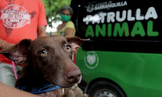 ¡EN BARRANQUILLA LOS ANIMALITOS NO ESTÁN SOLOS! TIENEN UN PROGRAMA QUE LOS PROTEGE CON LA PATRULLA ANIMAL: ALCALDE CHAR