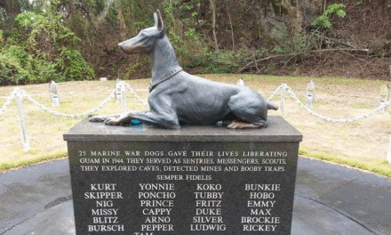 LOS PERROS DOBERMANN Y SU HISTORIA EN ALEMANIA.