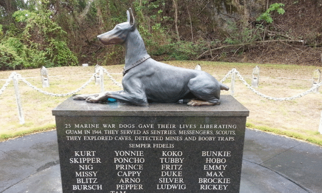LOS PERROS DOBERMANN Y SU HISTORIA EN ALEMANIA.