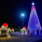 ¿CUÁL ES EL ORIGEN DEL ÁRBOL DE NAVIDAD?