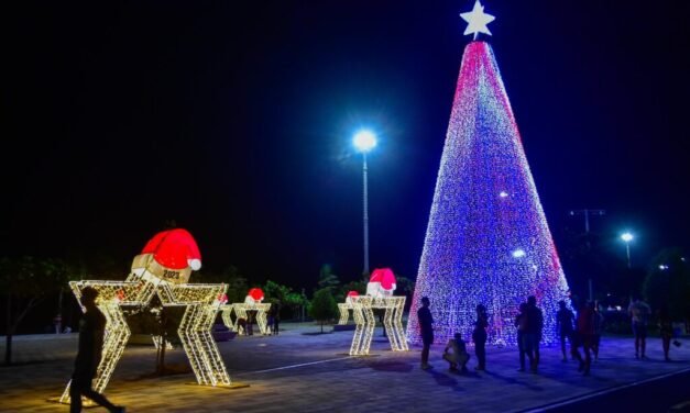 ¿CUÁL ES EL ORIGEN DEL ÁRBOL DE NAVIDAD?