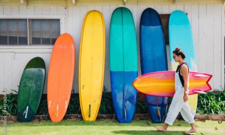 ¿QUÉ TIENE QUE VER EL SURF CON  LA NASA?